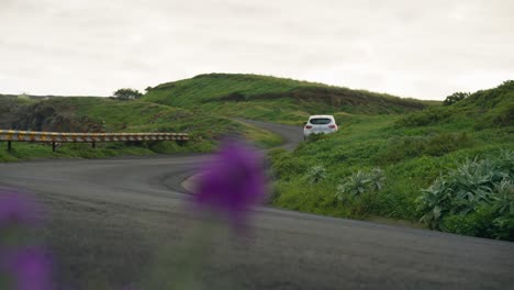 silver car drives on scenic peaceful highland road in madeira, bokeh purple flowers