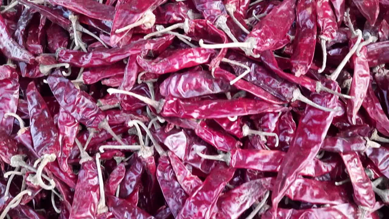 빨간색 건조 rasgulla mirchi 또는 칠리의 근접 촬영 샷