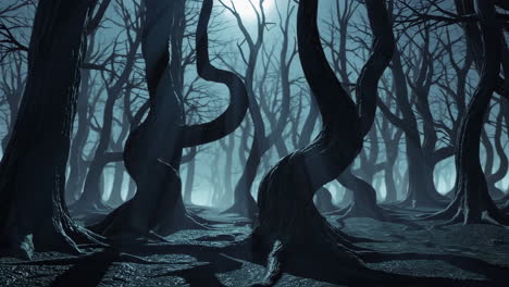 twisted trees dark forest at night