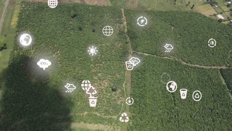 vista aérea futurista de drones de la cobertura forestal