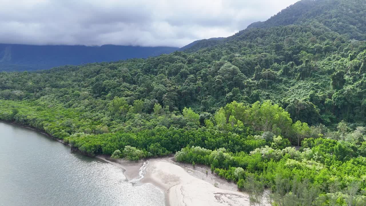 Drone glides above mangrove river, sandy beach, and lush rainforest under cloudy daylight skies