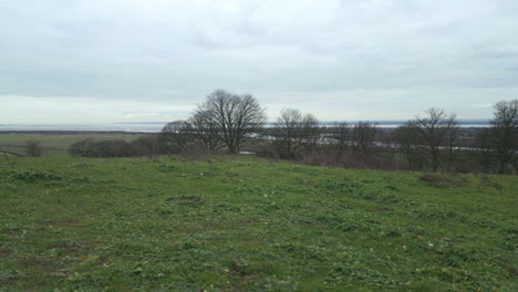 absteigende drohnenansicht der rochenmündung vom hadleigh park