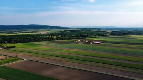 Aéreo---Campos-De-Cultivo-Agrícola,-Deutsch-brodersdorf,-Austria,-Gran-Tiro-Giratorio