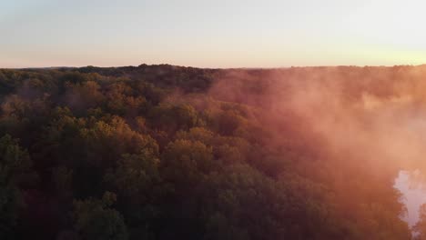aerial foggy morning lake cinematic trees wilderness forest sunrise beauty nature