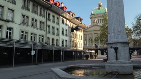 pigeons in empty bärenplatz in bern. coronavirus time.