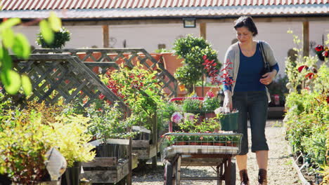 mature woman customer buying plants and putting them on trolley in garden center