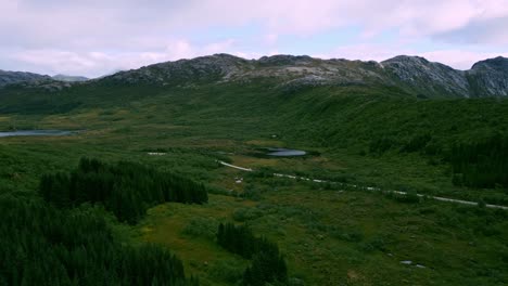 Aerial-shot-flying-through-the-grass-forest-tree-landscape-in-Lofoten-Northern-Norway-Europe-with-the-road-winding-through-the-scenery-of-lakes-and-green-views