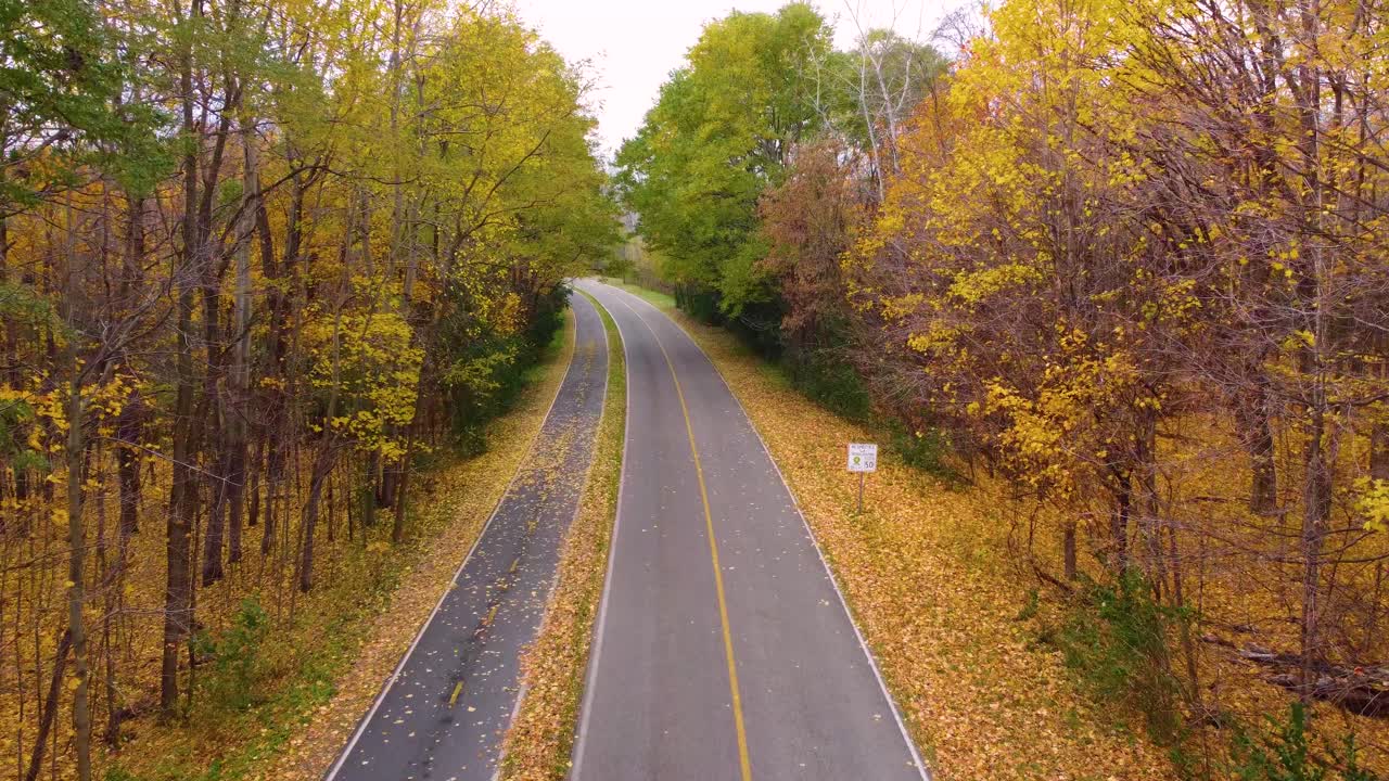 Uendelig asfalteret vej gennem efterårstræer nær Oka Nationalpark, Québec, Canada. Droneoptagelse fra luften