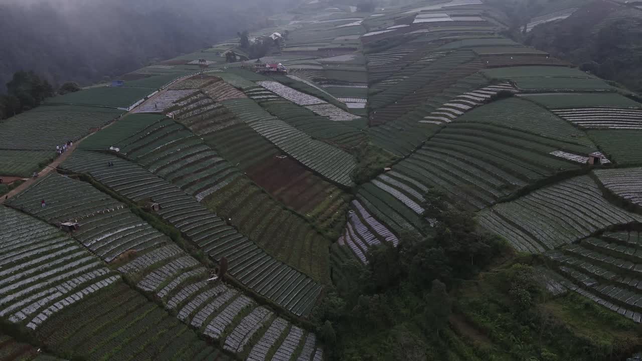 Aerial view, a view of the leek vegetable garden terrace on the slopes of Mount Sumbing as a tourist spot named Nampan sukomakmur