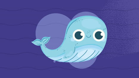 cute whale swiming sealife animation