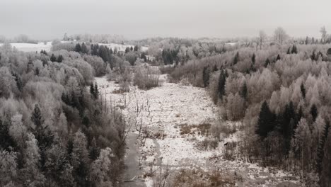 aerial view between dense forest valley in winter landscape. frozen trees and icy ground in a swampy area over the woods. winter in countryside.