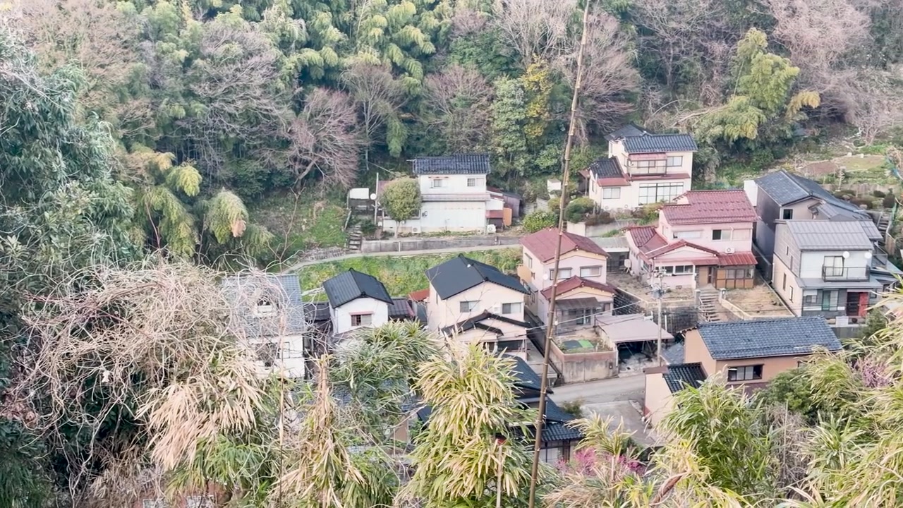 Pengambilan gambar sudut tinggi sebuah desa Jepang pinggiran kota yang dikelilingi oleh bambu rimbun dan kehijauan hutan.
