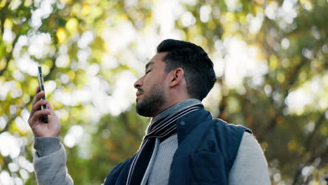 perdido, bosque y hombre con un teléfono inteligente