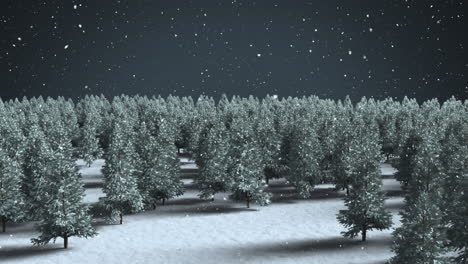 animation of fir trees in winter landscape