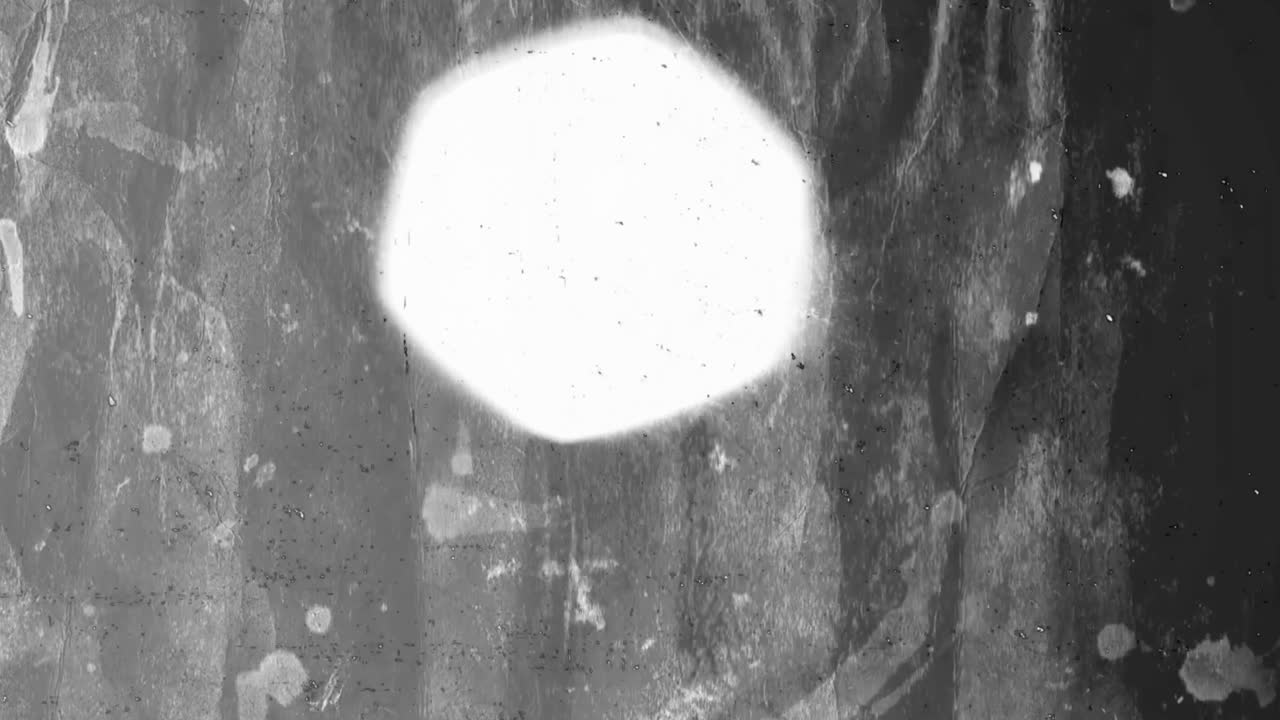 Abstract Black and White Circles and Grunge Texture Overlay