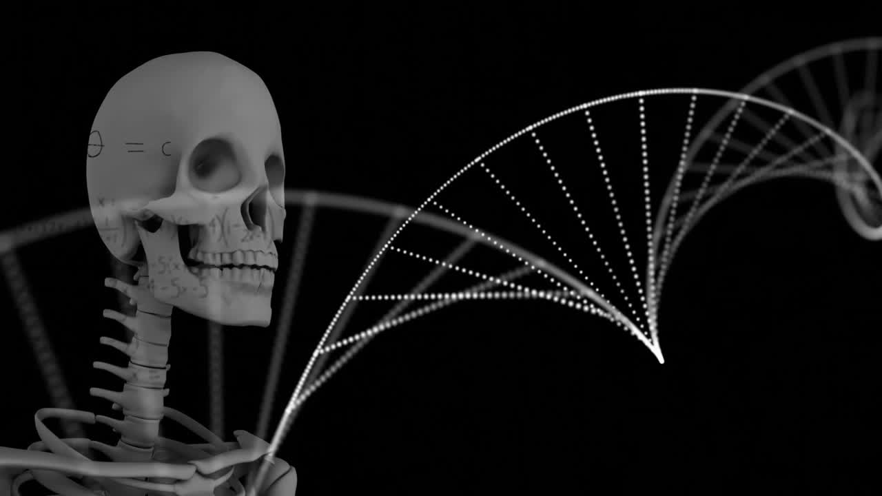 анимация скелета над нитью днк