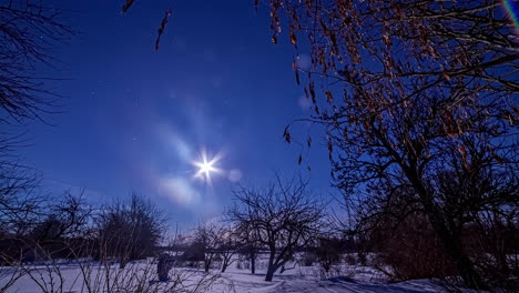 Sol-Moviéndose-Rápido-Sobre-Un-Bosque-Nevado-En-Lapso-De-Tiempo