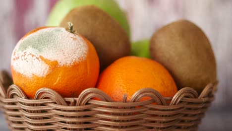 moldy orange in a basket with other fruits