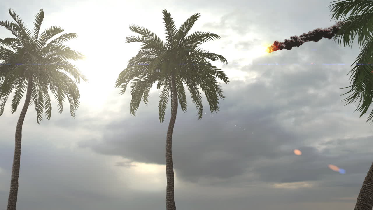 Palm trees with a meteor in the sky