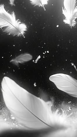 soft feathers in calm air. white feathers float gracefully through the air, creating a serene and peaceful atmosphere in the dark setting.