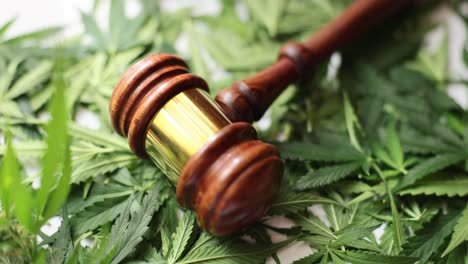 justice and law regarding cannabis legalization