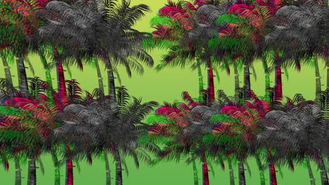 colorful and monochrome palm trees