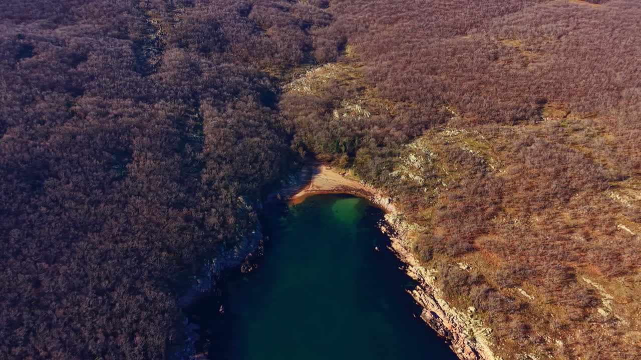 Paisagem de floresta com corpo d'água sob céu limpo durante o dia, em um ambiente natural próximo a uma costa rochosa