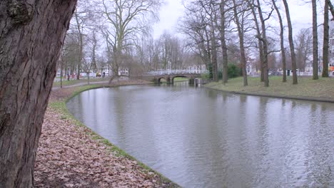 tramo tranquilo y arbolado del canal que fluye suavemente en utrecht, países bajos