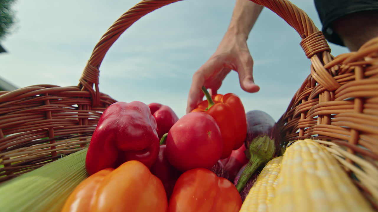la mano metida en la canasta de verduras frescas