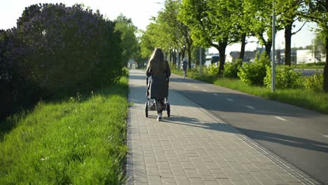 young mother with child in stroller on a sidewalk of the road