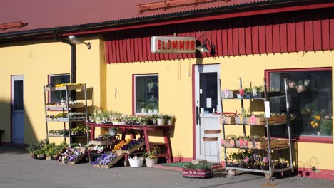 tilt shot across local swedish small town flower shop, blommor, with red roof and morning light in sweden