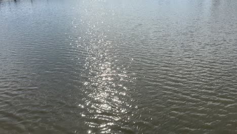light shimmers from the sun of surface water at cape town.’s milnerton lagoon.
