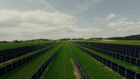 Drone-flying-above-the-landscape-agricultural-field-and-photovoltaic-system,-solar-panels-installed-in-rows-between-the-fields,-Styria,-Austria