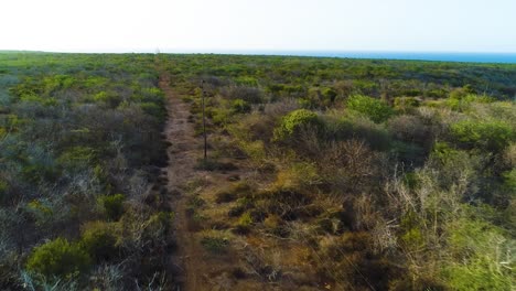 Utility-poles-line-across-dirt-track-in-dry-arid-shrub-landscape,-aerial-dolly