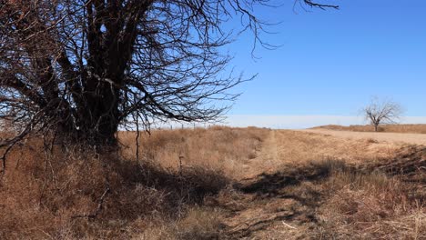 4k-Dolly-Video-Colorado-Plains-Right-Reveal-Road