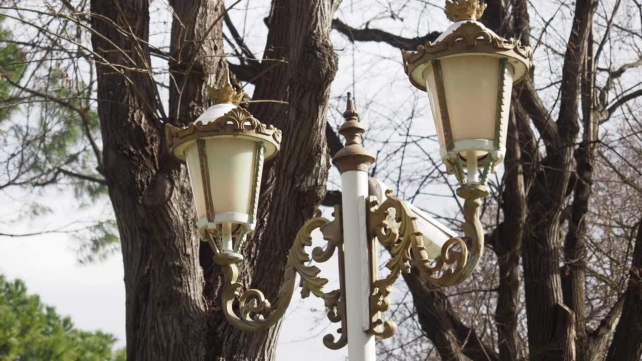 lámpara de calle vintage ornamental