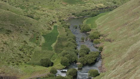 Agricultura-Ribereña-A-Pequeña-Escala-En-Un-Fértil-Valle-Verde-Junto-Al-Río