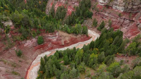 aerial view of bletterbach gorge in south tyrol, italy, showcasing vibrant red rock formations and lush forest along a winding canyon and unique geological landscape