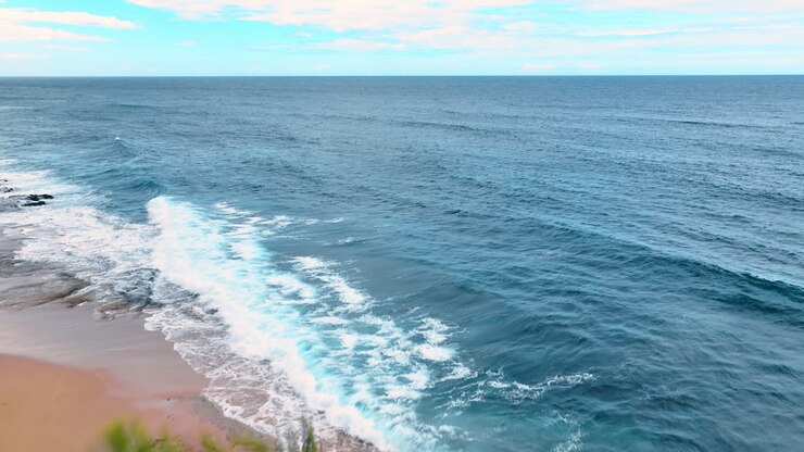 Vento forte che spinge le onde verso la riva. Palme che ondeggiano sulla spiaggia sabbiosa. Prospettiva aerea