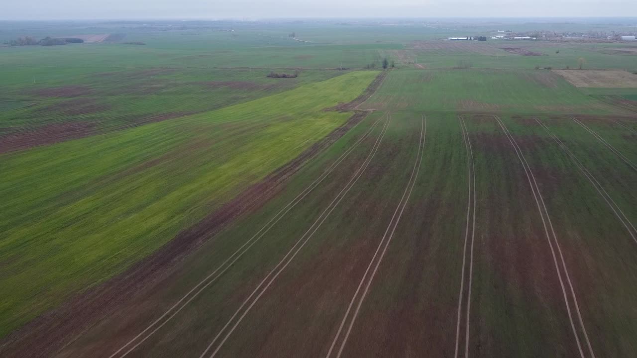 트랙터 자국이 있는 아름다운 녹색 농경지가 있는 리투아니아의 평지 위로 비행