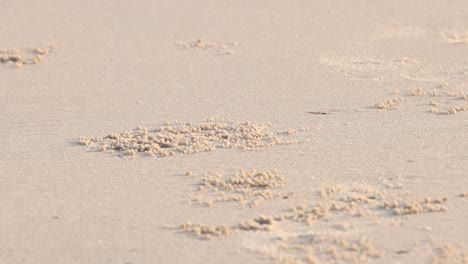 모래 해변의 질감의 점진적인 변화