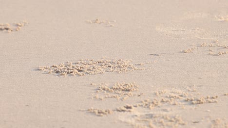 gradual change in sandy beach texture