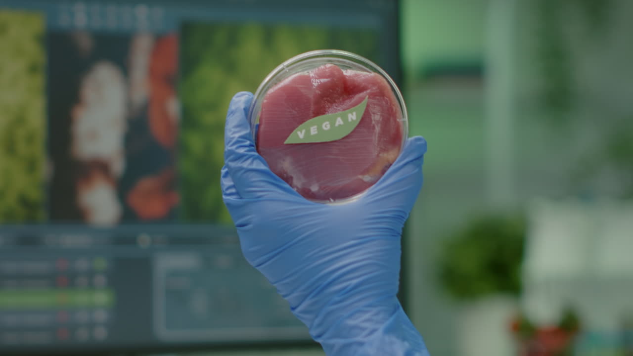 Closeup of scientist woman holding in hands petri dish with vegan beef meat