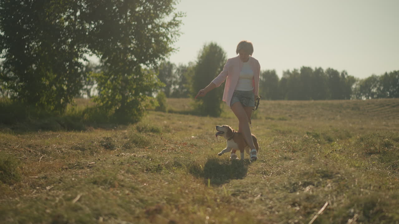 Dog joyfully performs trick by passing through owner's legs in grassy farmland under bright sunny day, woman in pink shirt guiding dog in an open field surrounded by green trees