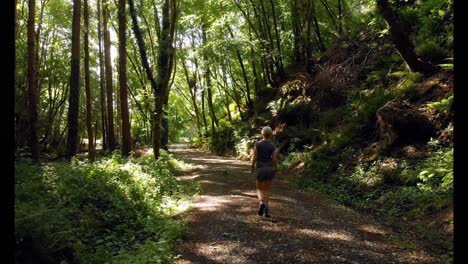 mujer caminando en el bosque 4k
