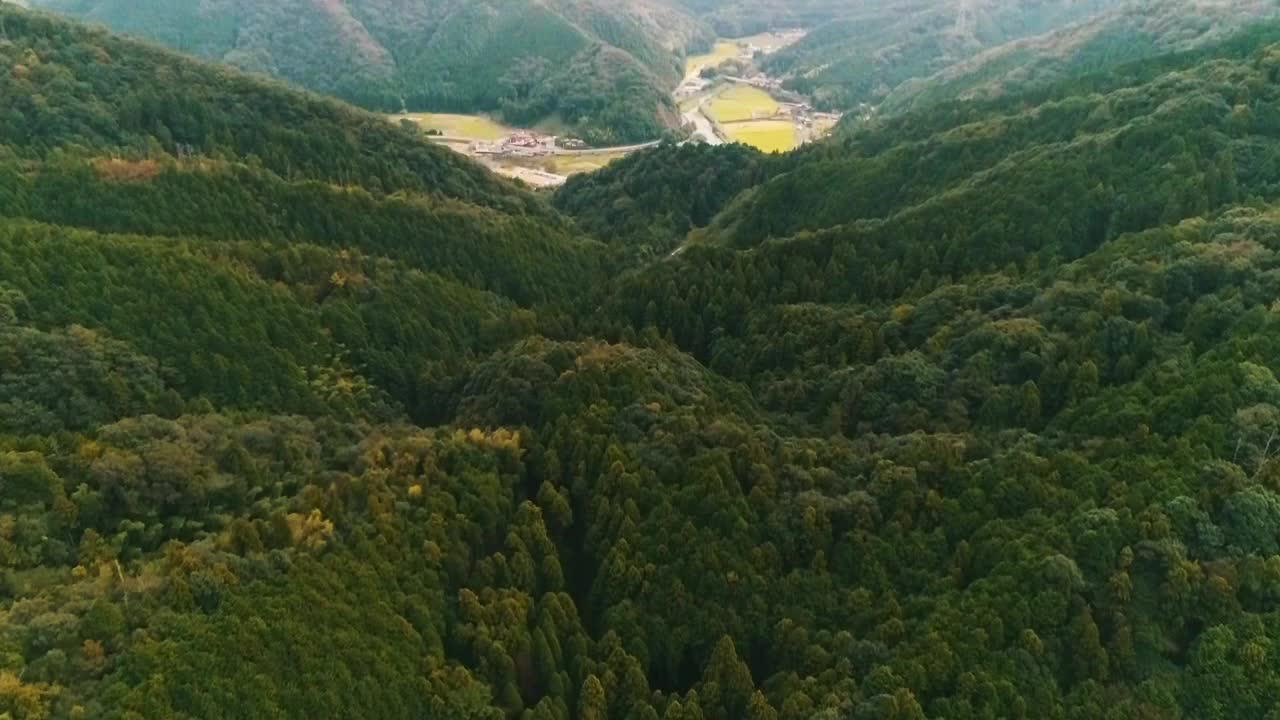 Lush Green Valley and Mountain Landscape
