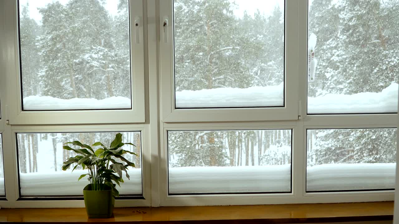 ventana. ventana con vistas al bosque cubierto de nieve