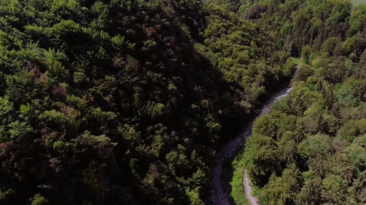 vuelo sobre un arroyo en medio del bosque