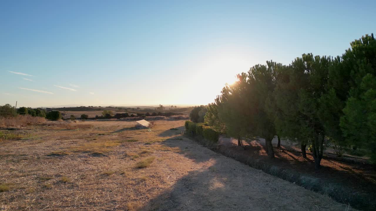 Alentejo, Portekiz Kırsalında Tagus Nehri Üzerinde Gün Batımı/Gün Doğumu ve Avrupa Kırsalı Ağaçları