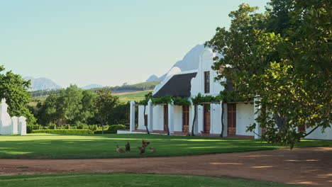 babylonstoren cape dutch countryside chapel garden with chickens feeding on grass rural historic south africa winery home